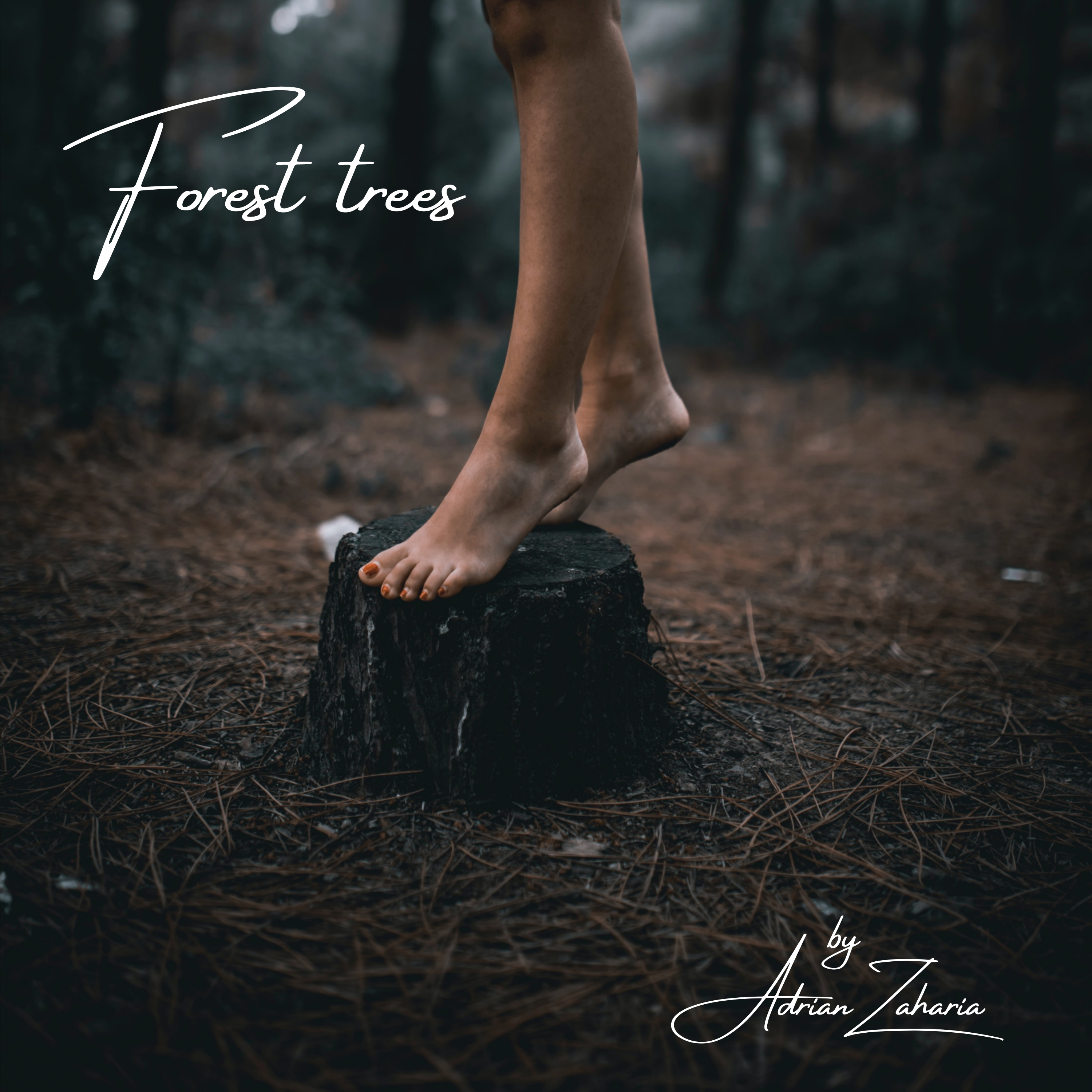Forest trees cover
