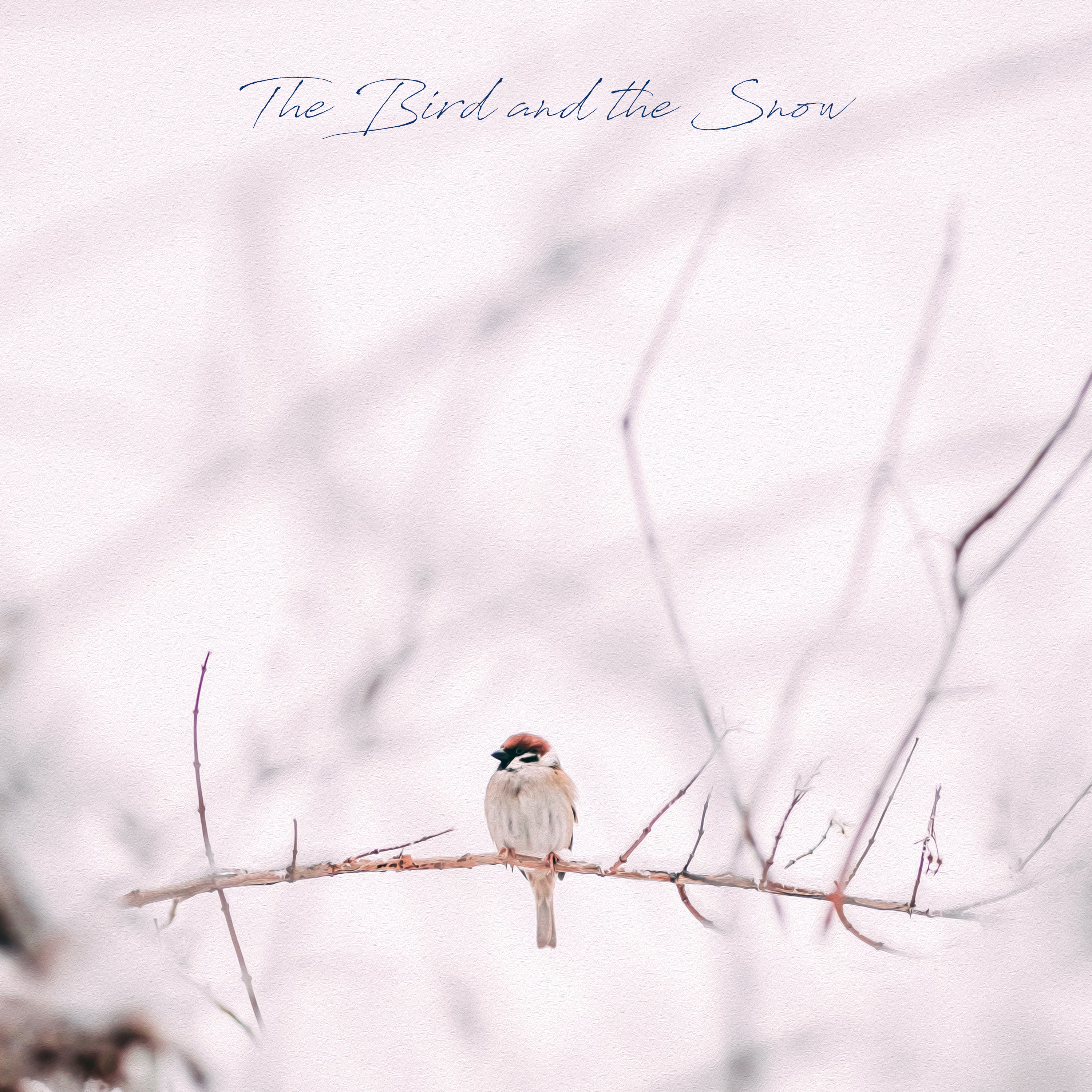 The Bird and the Snow - Cover